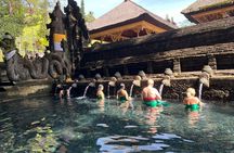 Ubud Tour Monkey Forest, Rice terrace, spring water temple & more