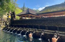Ubud Tour Monkey Forest, Rice terrace, spring water temple & more