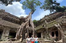 1-D tour: Angkor Wat, Banteay Srei, Ta Prohm & Angkor Thom.