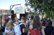 Soweto Walking Tour Mandela House And Street Food