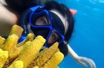 Marine Adventure Cruise Snorkeling and Swimming in Lefkada