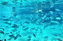 Ibiza Snorkeling Beach and Cave Tour 