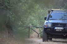 Off-Road Safari, Traditional Villages & Botanic Garden Walk