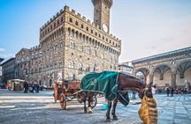 Florence Highlights Walking Tour