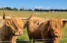 Loch Ness Private Tour 360" Cawdor Castle and Cul. Battlefield
