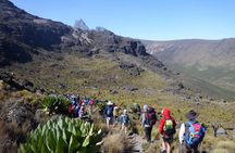 Mt. Kenya Expedition Private 4-Day Multi-day Tours