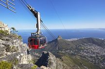 Table Mountain and Boulder Penguins Half Day Tour