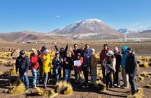 Tatio Geysers Tour with Breakfast and Flamenco Watching