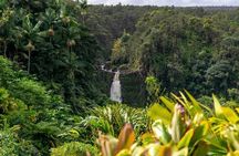  Akaka Falls Tour - Volcanoes National Park and Hilo Discovery