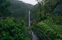  Akaka Falls Tour - Volcanoes National Park and Hilo Discovery