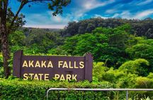  Akaka Falls Tour - Volcanoes National Park and Hilo Discovery