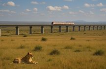 Nairobi National Park-Day tour