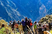 Full day at Colca Canyon from Arequipa
