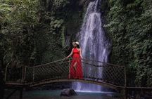 Ubud Private Tour: Waterfalls, Rice Terrace & Monkey Forest
