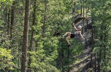 Thrilling 2-Hour Zipline Tour in Radium Hot Springs