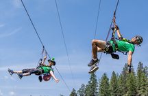 Thrilling 2-Hour Zipline Tour in Radium Hot Springs