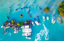 Noahs Ark Catamaran Trip 