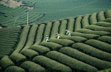 6 Days 5 Night Ha Long Bay, Ninh Binh and Sapa Tour