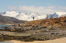 Private Arctic Fjord Roadtrip with Scenic Picnic from Tromso
