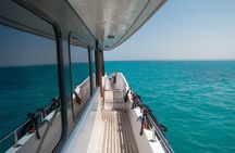 Shaab Samadai, Snorkeling Adventure & Coral Reef at Marsa Alam