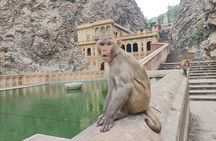 Private Same Day Jaipur tour from new Delhi 