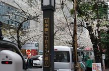 Tokyo Private Walking Tour