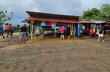 Roatan Adventure: Snorkeling, Monkeys, Sloths, and Island Tour