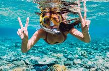 Roatan Adventure: Snorkeling, Monkeys, Sloths, and Island Tour