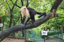 Roatan adventure: Snorkeling, Monkeys, Sloths, and Island Tour