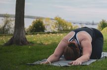 Coastal Flow A Maine Yoga Experience
