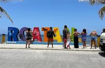 Sloth sanctuary, island excursion and West Bay beach