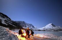 Tromsø Fjordland Aurora Chase Northern Lights by the Arctic Sea