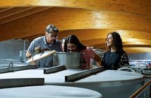 From the Cluster to the Chalice : A Journey into the Heart of Wine in Bardolino