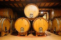 From the Cluster to the Chalice : A Journey into the Heart of Wine in Bardolino