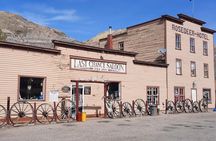 Full Day Drumheller Tour from Calgary