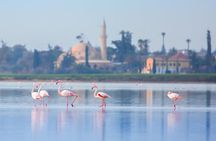 Larnaca Airport Pickup with 1-Hour Coastal Sightseeing Ride