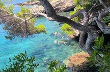 Kayak Tour with Caves, Snorkeling and Picnic (+ Cliff Jump)