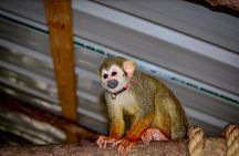 Monkey Sanctuary, Cenote & Plantation Tour in Punta Cana