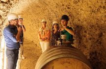 GroMonte: Cave, Wine and History in Montefiore dell'Aso