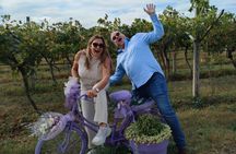 Pagus Wine Tours® - Valpolicella and Amarone with lunch full day wine tour