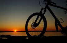 Lake Massaciuccoli Self guided Bike Tour in Pisa