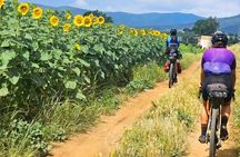 Lake Massaciuccoli Self guided Bike Tour in Pisa