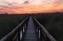 Lake Massaciuccoli Self guided Bike Tour in Pisa