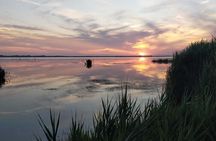 Lake Massaciuccoli Self guided Bike Tour in Pisa
