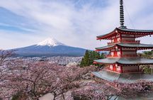 Tokyo: Mt. Fuji & Lake Kawaguchiko 1Day Bus Tour without Lunch