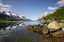 Tromsø: Fjord Adventure Tour with Wildlife and Lunch