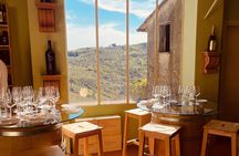 Supertuscan Experience in Chianti Fiorentino