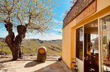 Supertuscan Experience in Chianti Fiorentino