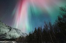 Tromsø: Northern Lights Minibus Tour with Expert Guides