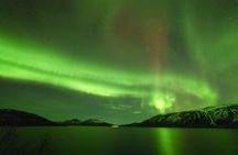 Tromsø: Northern Lights Minibus Tour / Local Guide & Free Photos
